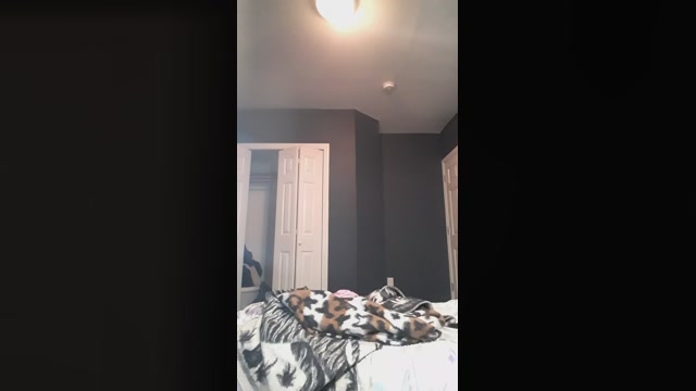 Pablo_Locket  11-11-2022